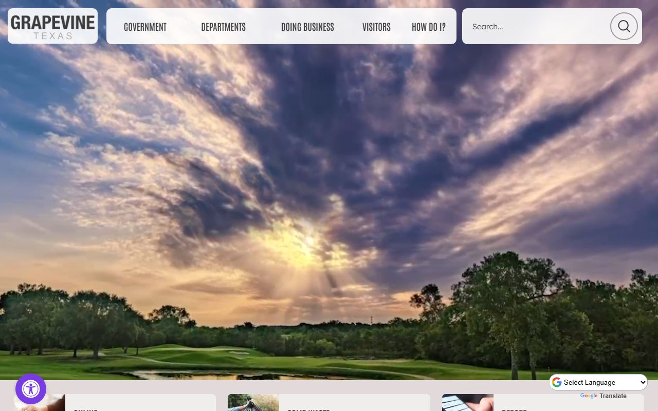 Grapevine public records portal